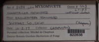 Image Associated With the Occurence